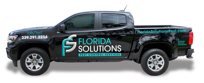 Professional Pest Control Services In Fort Myers FL