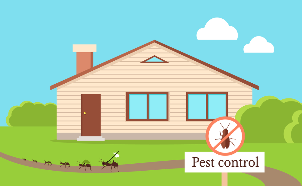 Residential and Commercial Pest Control in Lee County