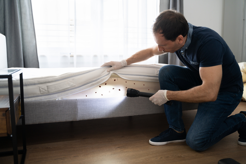 #1 Bed Bug Treatment & Removal In Washington Dc